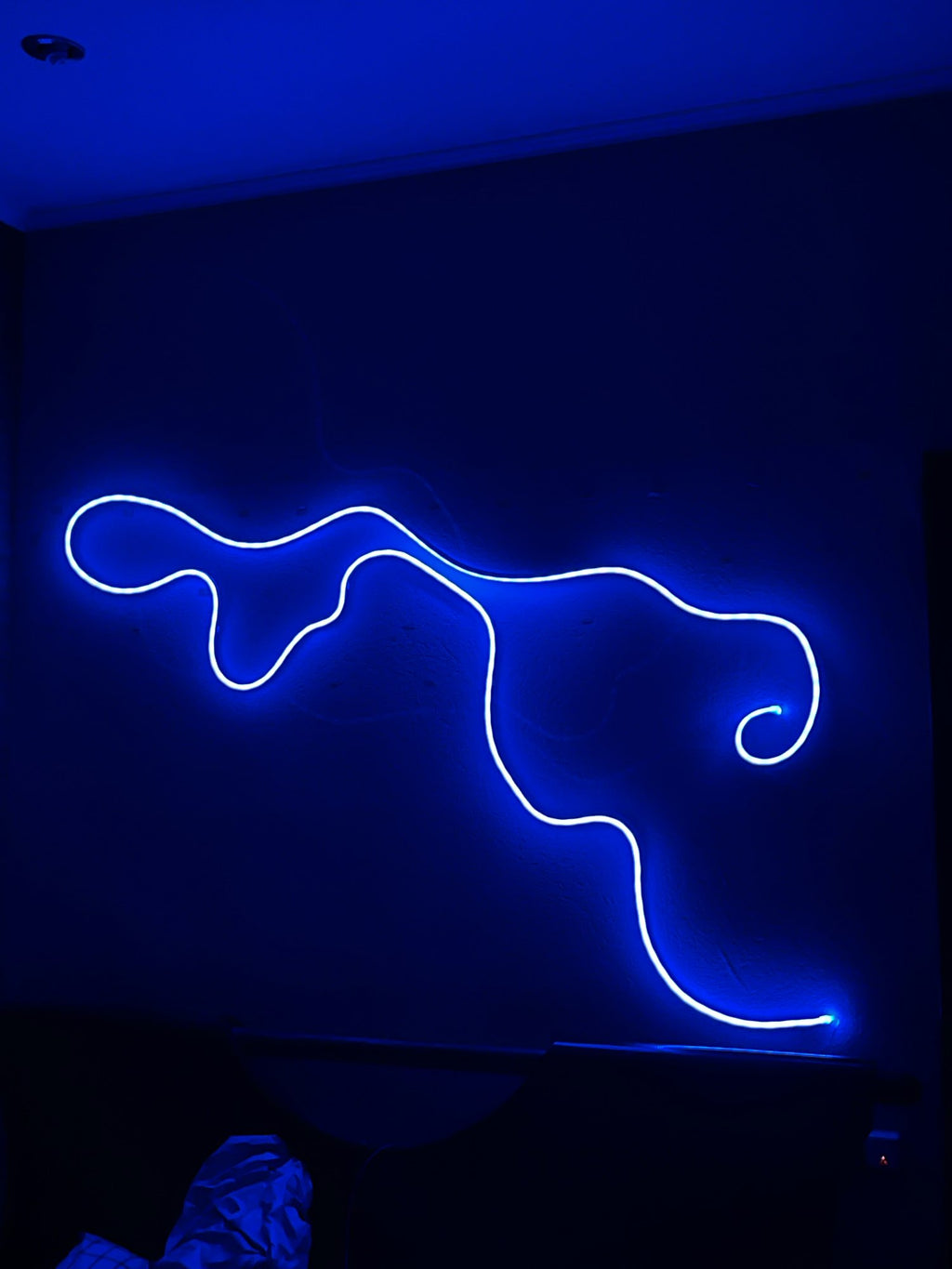 LED NEON FLEXIBLE 5 METRES ARGB ( photo réel )